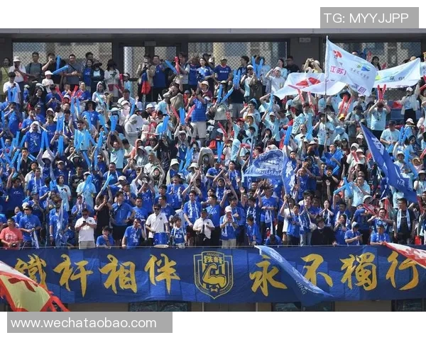 南京飞盘队运营分析：成功经验与不足之处的深度探讨