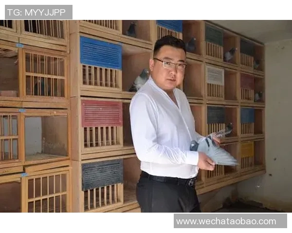 与陈伟对话:回顾他的足球生涯与未来展望 与陈伟对话:回顾他的足球生涯与未来展望