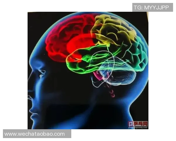 上海乒乓球队战术解析：灵活转换体系的成功之道与应用探讨