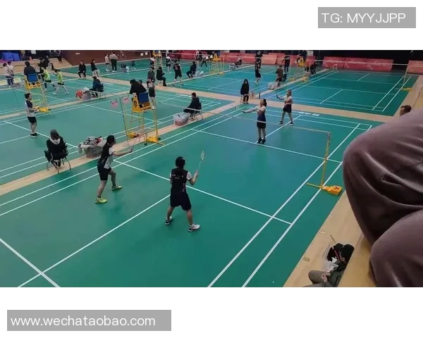 成都羽毛球队比赛经验深度对比分析及其对未来发展的影响探讨