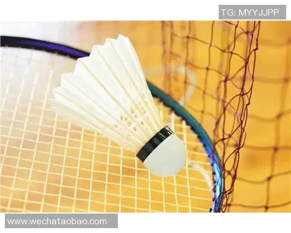 羽毛球战术解析：深入探讨上海羽毛球队的防守与反击策略