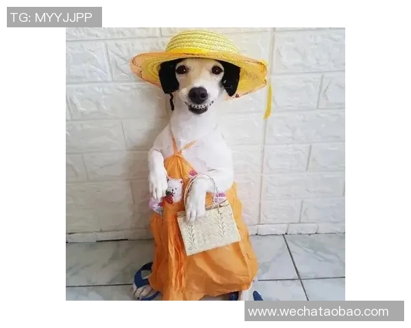 足球明星们的奇葩瞬间漫画集趣味十足让你捧腹大笑 足球明星们的奇葩瞬间漫画集趣味十足让你捧腹大笑