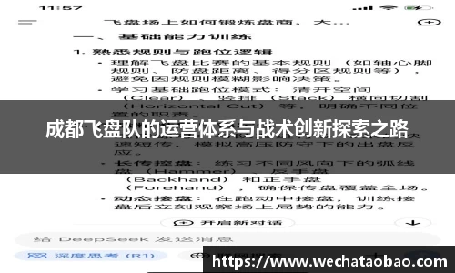 成都飞盘队的运营体系与战术创新探索之路