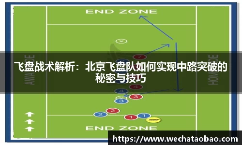 飞盘战术解析：北京飞盘队如何实现中路突破的秘密与技巧